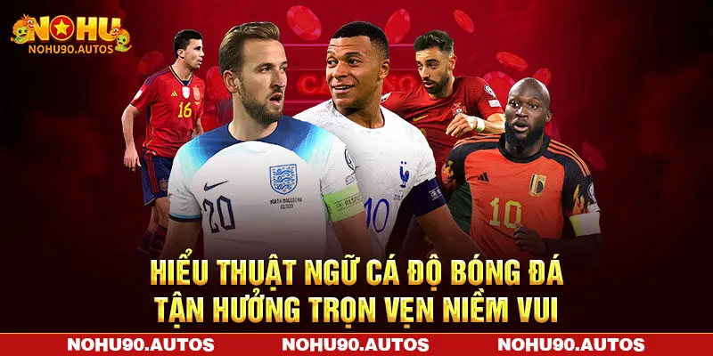Hiểu Thuật Ngữ Cá Độ Bóng Đá Tận Hưởng Trọn Vẹn Niềm Vui Tại NOHU90
